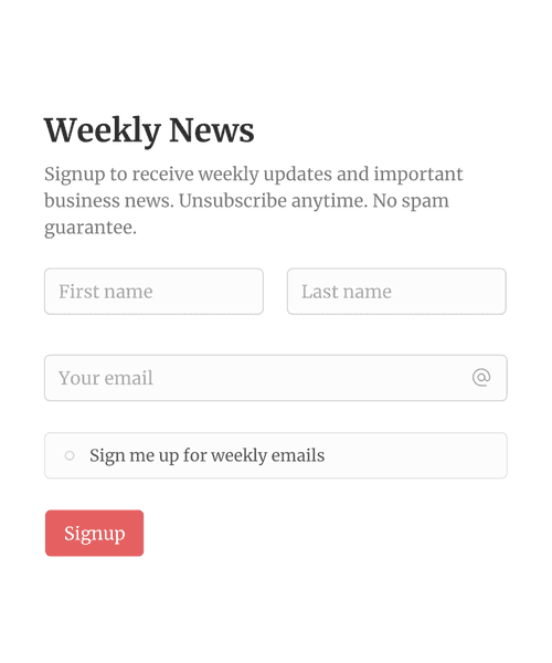 Thumbnail of a newsletter signup form form template